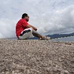 Pit Bul Auto Mecanica